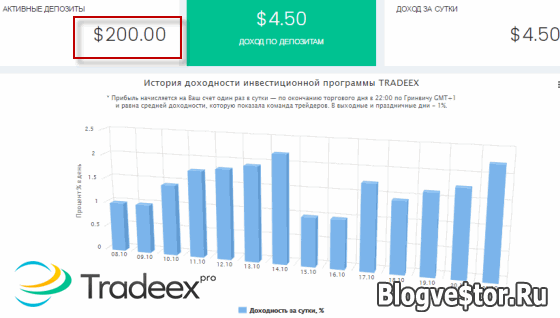 tradeex-depo-blogvestor