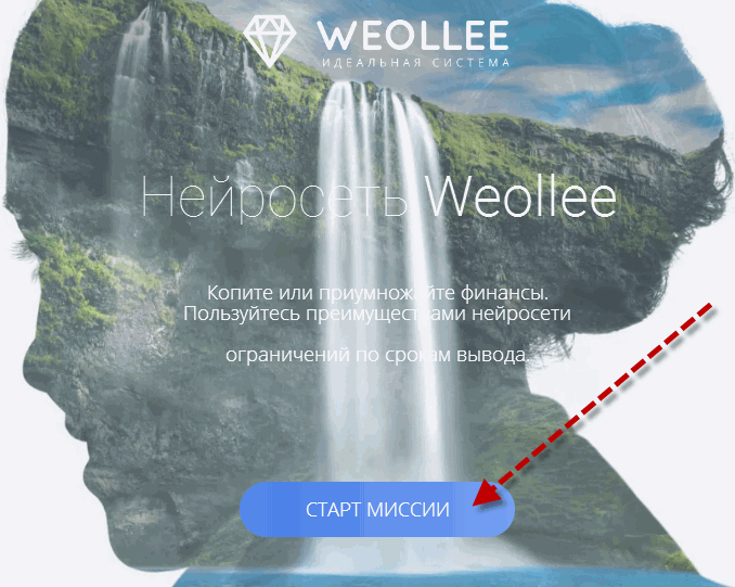 weollee-start-1